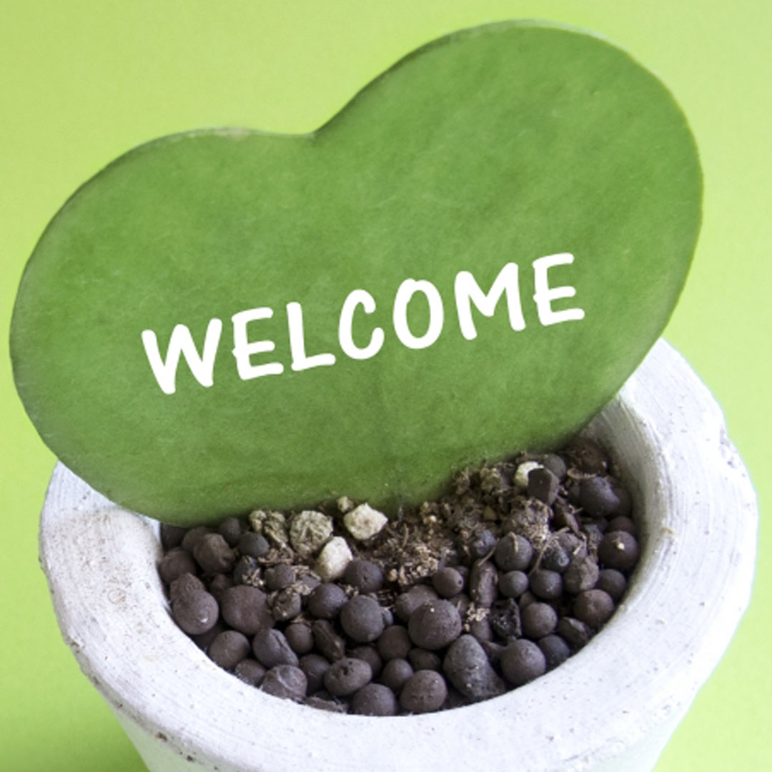 SKサロンへ問い合わせ